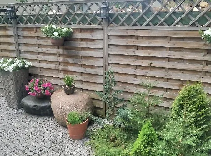 Konik Bar I Goscinne Kadyny